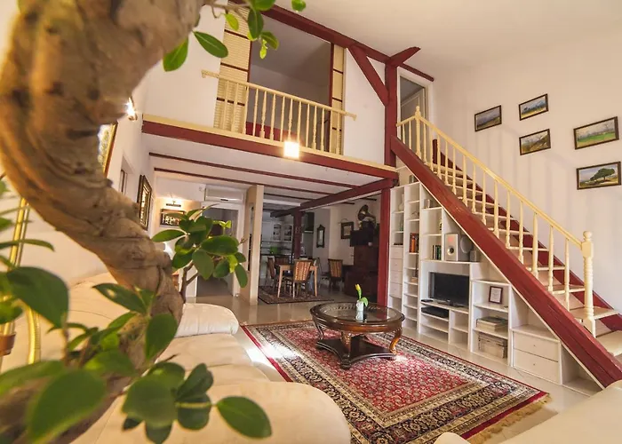 Deluxe Four-Bedroom Apartment